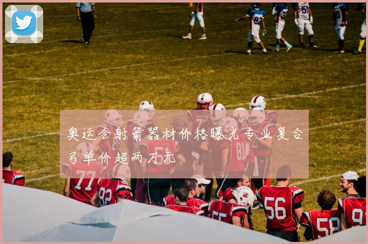奥运会射箭器材价格曝光专业复合弓单价超两万元