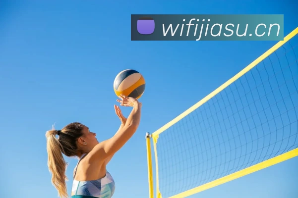 beat·365(中国)唯一官方网站平台生态图